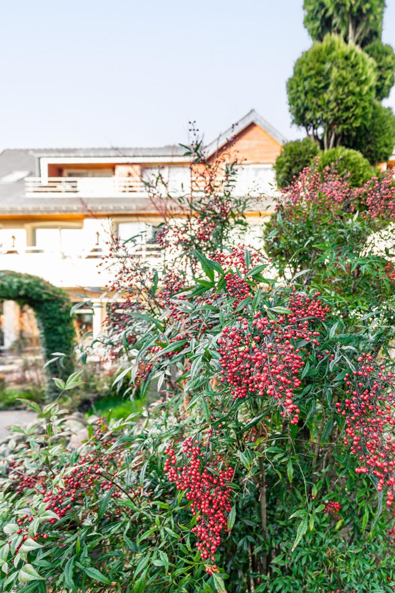 Logis L'Auberge - Maison Glenn Anna Sainte-Anne-d'Auray Ngoại thất bức ảnh